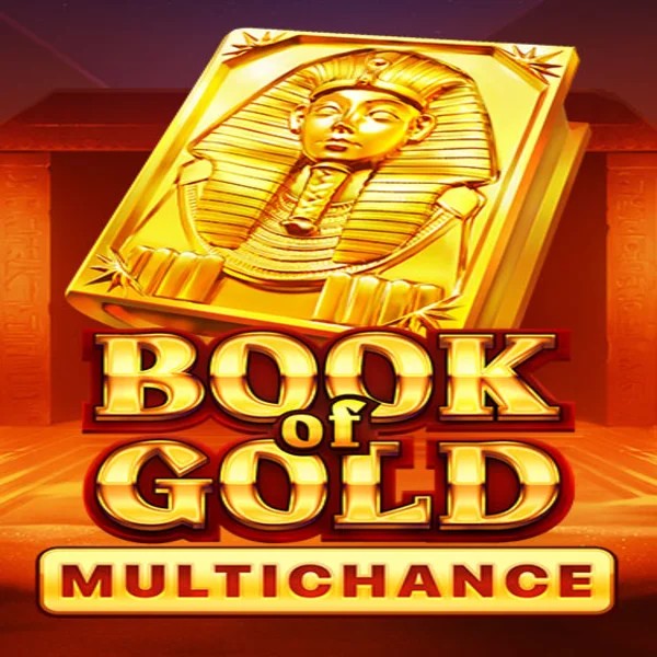 Book of Gold Multichance slot logo by Playson at Morospin Casino