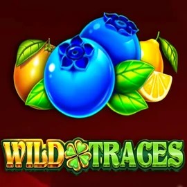 Wild Traces online slot from Amusnet Interactive – play at morospin.eu.com